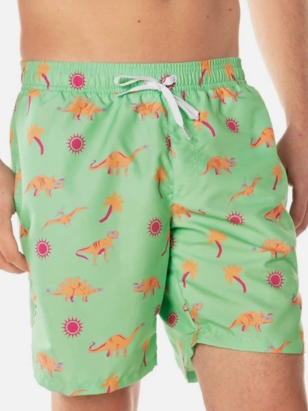 Tipsy Elves Dinosaur Desert Swim Trunks | 7